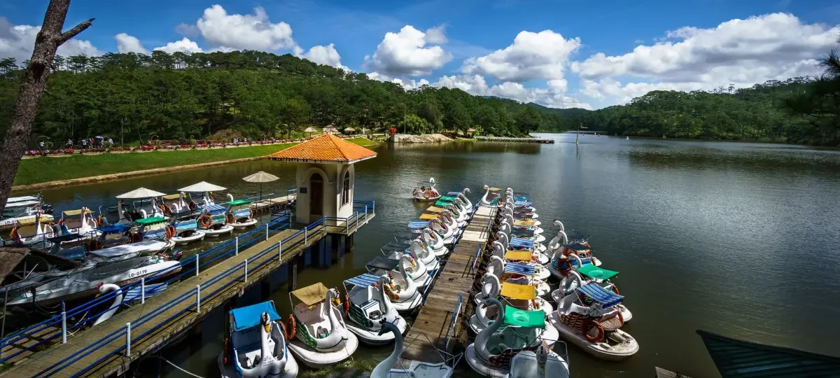 Lake and pine forest at the Valley of Love, Dalat