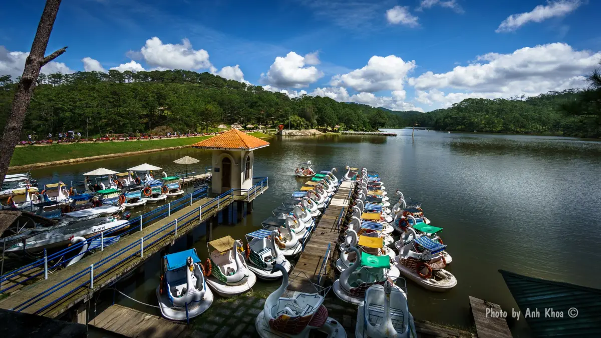 Valley of Love Dalat: Ticket, Gardens & Is It Worth It?