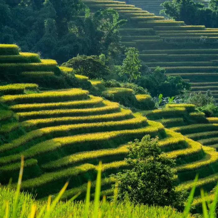 Vietnam Adventure Tours