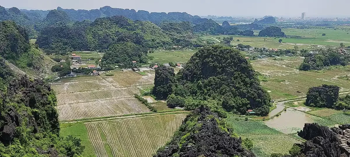 Panoramic view of rice fields and the Ngo Dong River from the top of Hang Mua, Ninh Binh