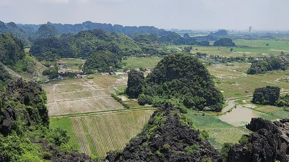 Mua Cave (Hang Mua): Climb 486 Steps to Ninh Binh’s Best Viewpoint (2026 Guide)