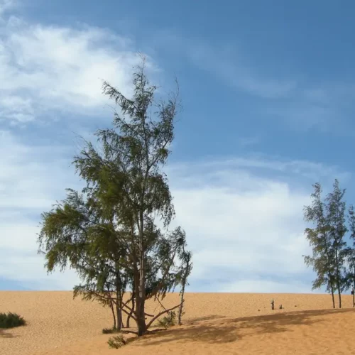 Mui Ne, Vietnam